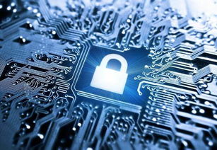 科技巨头全面押注AI 对上海软件开发的深刻启示